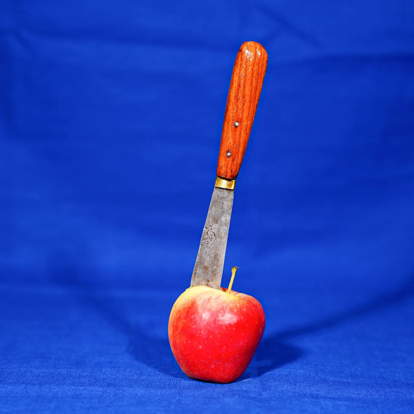 Miniatuur 2